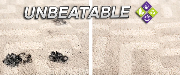 Carpet-Spot-Cleaning