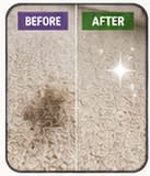 Carpet before and after cleaning